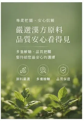 Hanfang Banner 04